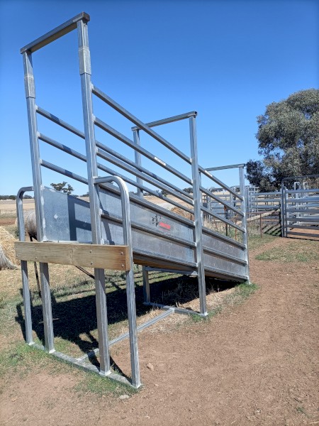 Norton Cattle Loading Ramp