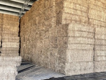 250mt Vetch Hay 8x4x3 Bales (22/23 Season)