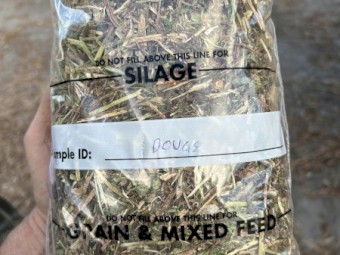Vetch and Burr Medic Mix Hay 8x4x3 Bales (New Season 22/23)