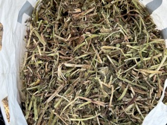 Vetch and Burr Medic Mix Hay 8x4x3 Bales (New Season 22/23)