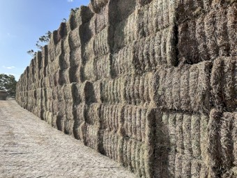 Vetch and Burr Medic Mix Hay 8x4x3 Bales (New Season 22/23)