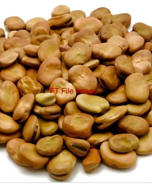 Bendoc Beans