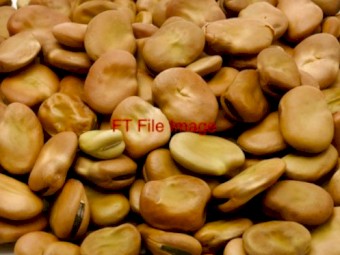 Bendoc Beans