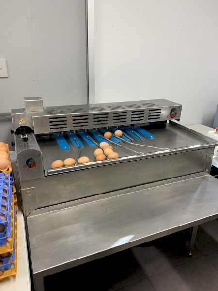 Egg Grader Riva Selegg S21