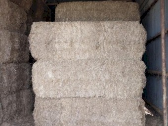 19/20 Season Vetch Hay