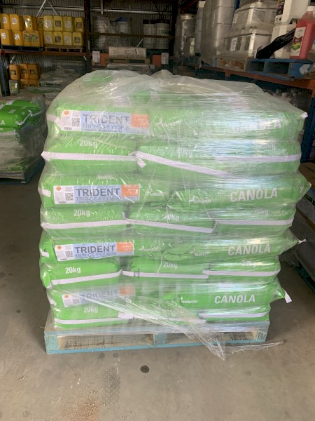 Nuseed HyTTec Trident Canola Seed 2023 stock