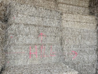 Rye/oaten/vetch hay