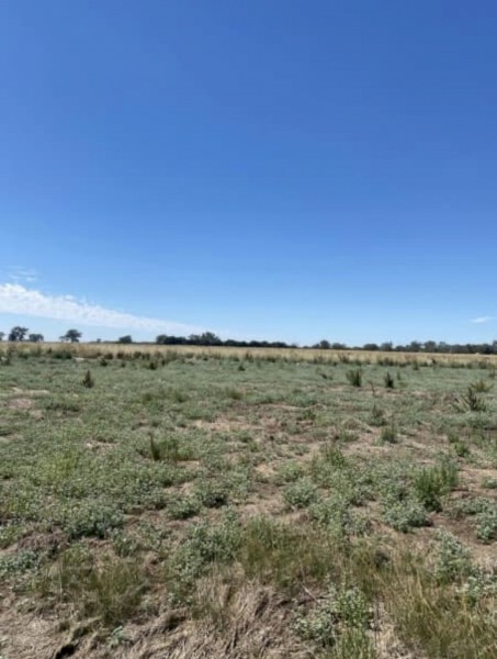 Farm for sale 