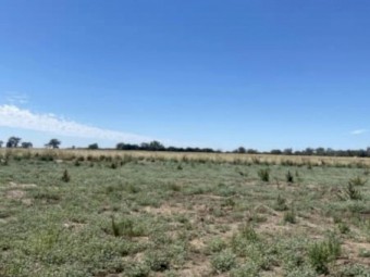 Farm for sale 