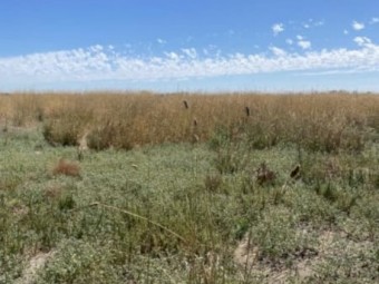 Farm for sale 
