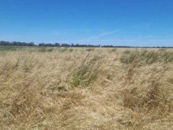 Farm for sale 