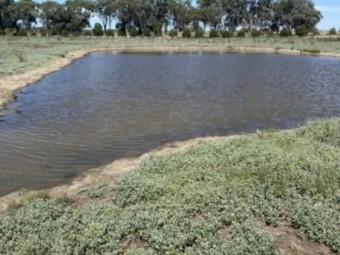 Farm for sale 