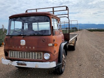 TK Bedford Truck