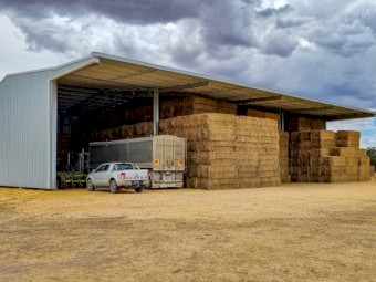 Clover Ryegrass Hay