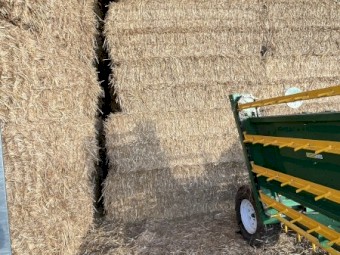 Wheat straw