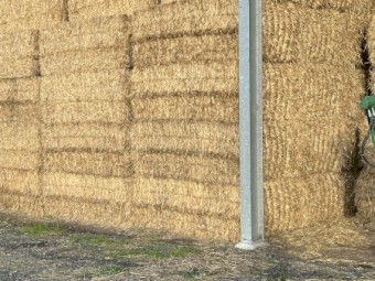 Wheat straw