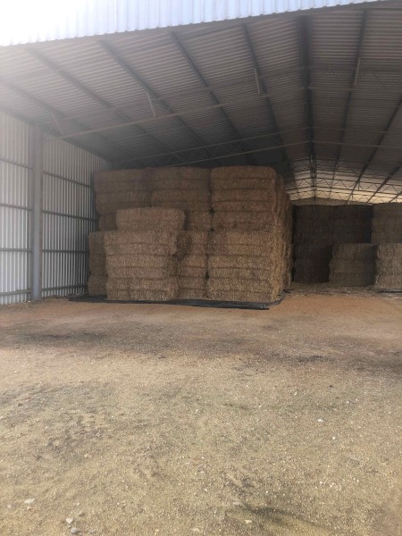 Oaten Straw
