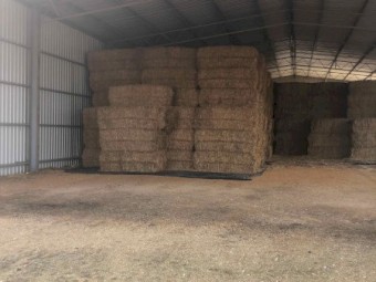 Oaten Straw