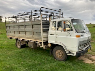1984 Isuzu Tray Truck