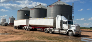 B Double Grain Tippers 'Price Reduced'