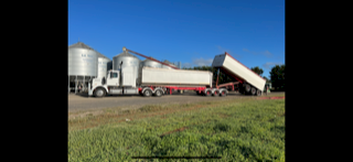 B Double Grain Tippers 'Price Reduced'