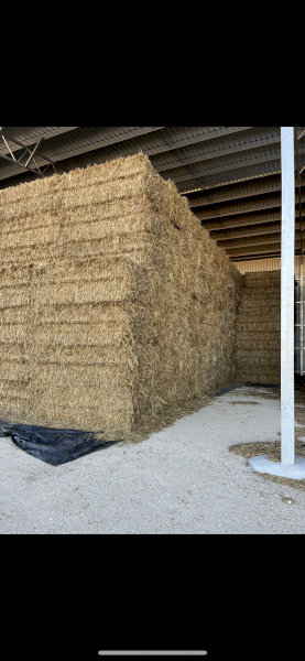 Oaten Hay