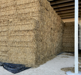 Oaten Hay