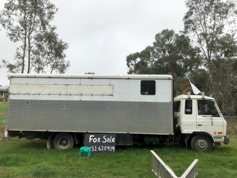 1986 International N1630 Horse Truck