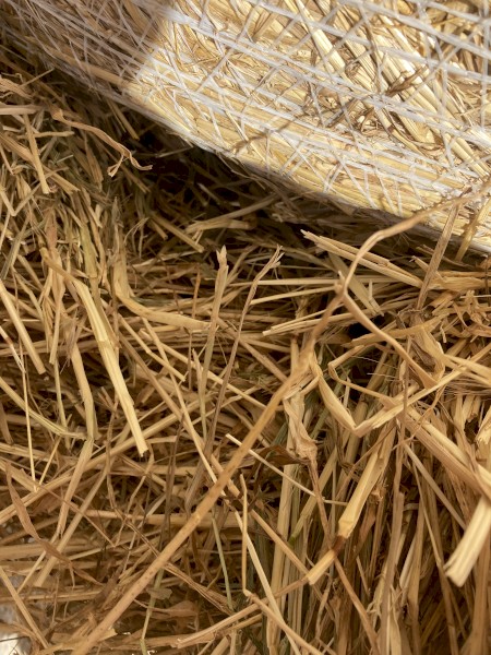 Barley/ Rye hay 