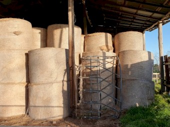 Rye & Clover 5x4 Round Bales; Shedded - CLEARANCE SALE