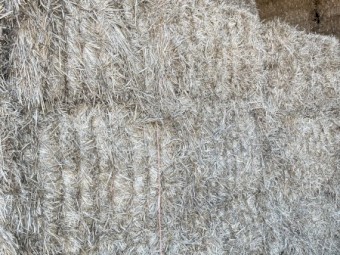 Oaten & rye mix.