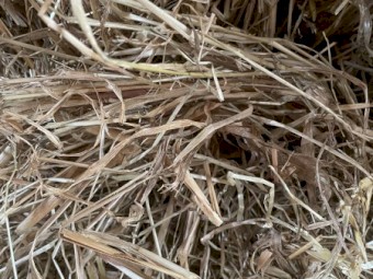 Oaten & rye mix.