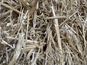 Oaten & rye mix.