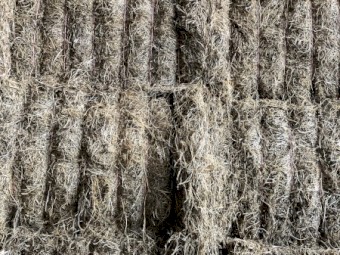 120mt Clover Hay 8x4x3 Bales (22/23)
