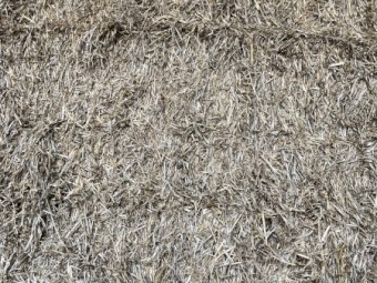 120mt Clover Hay 8x4x3 Bales (22/23)
