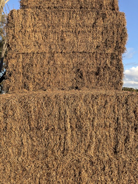 100mt Vetch Hay 8x4x3 Bales (22/23)