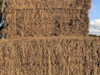100mt Vetch Hay 8x4x3 Bales (22/23)