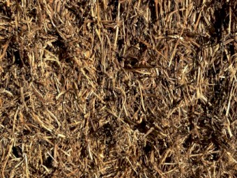 100mt Vetch Hay 8x4x3 Bales (22/23)