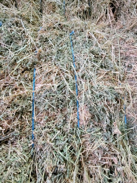41mt Lucerne Hay 8x4x3 Bales