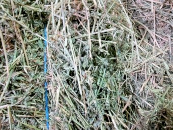 41mt Lucerne Hay 8x4x3 Bales