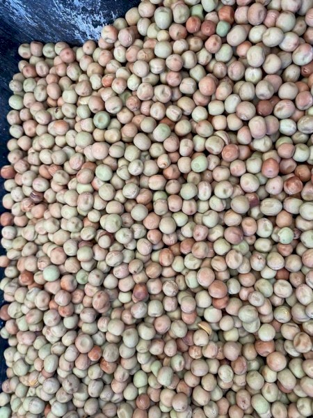 Twighlight Peas