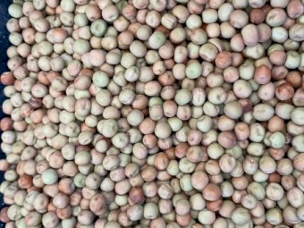 Twighlight Peas