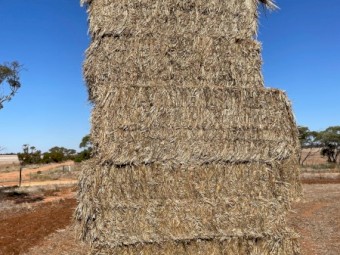 600mt Oaten Hay 580kg 8x4x3 Bales - Top Bales Free