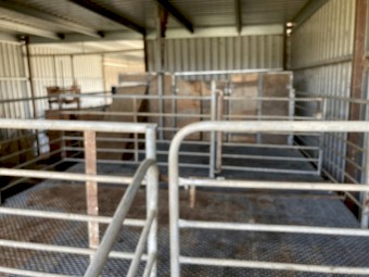 2 Stand Shearing Module