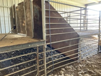 2 Stand Shearing Module