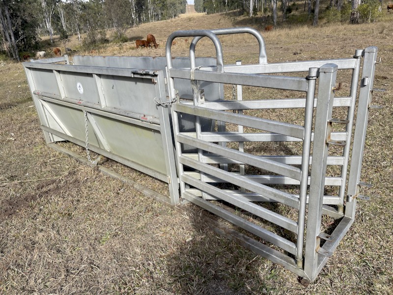Sheep handler /conveyor with drafting gates  in V design 