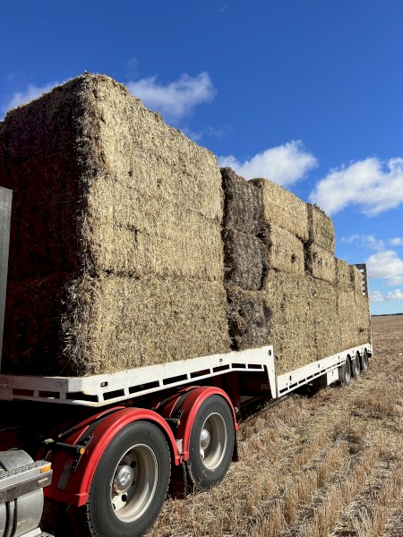 320mt Oaten Hay 715kg 8x4x3 Bales