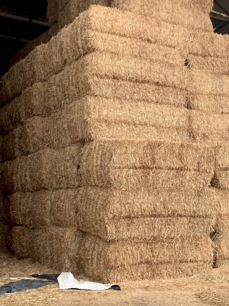 600mt Wheaten Straw 500kg 8x4x3 Bales (22/23 Season)