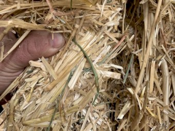 600mt Wheaten Straw 500kg 8x4x3 Bales (22/23 Season)