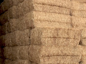 600mt Wheaten Straw 500kg 8x4x3 Bales (22/23 Season)